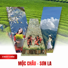 Tour Mộc Châu – Sơn La 3 Ngày 2 Đêm | Khám Phá Cao Nguyên Xanh Giữa Đại Ngàn Tây Bắc
