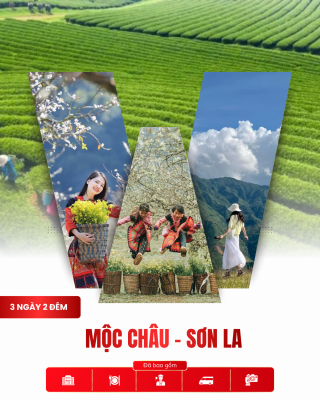 Tour Mộc Châu – Sơn La 3 Ngày 2 Đêm | Khám Phá Cao Nguyên Xanh Giữa Đại Ngàn Tây Bắc