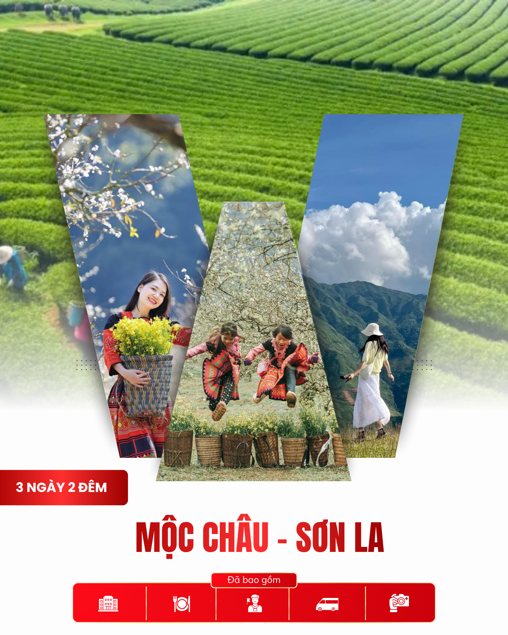 Tour Mộc Châu – Sơn La 3 Ngày 2 Đêm | Khám Phá Cao Nguyên Xanh Giữa Đại Ngàn Tây Bắc